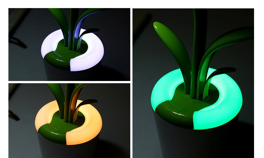 LED Desk Lamp