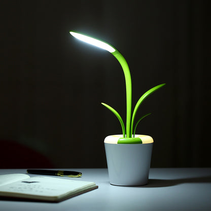 LED Desk Lamp