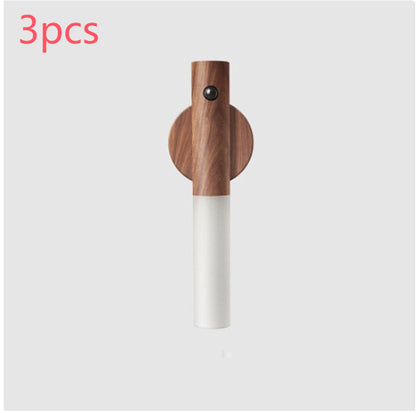LED Motion Light