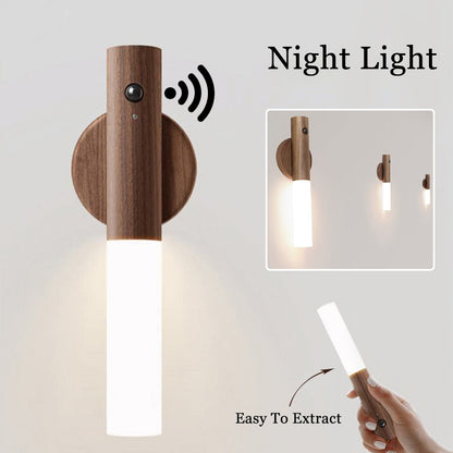 LED Motion Light
