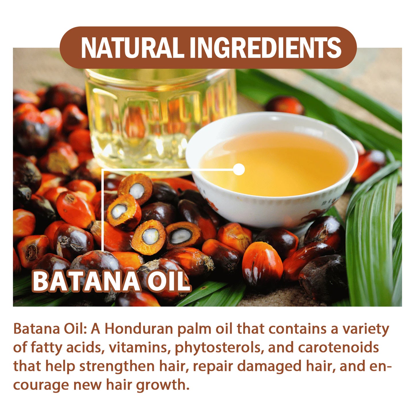 ✨ Après-Shampoing Nourrissant Batana Oil – Cheveux Souples, Forts et Épais