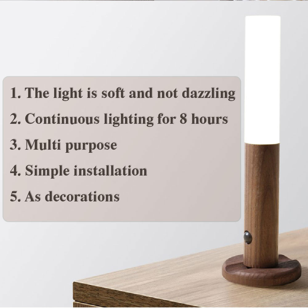 LED Motion Light